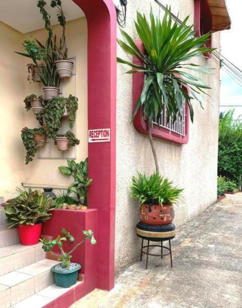 Residence Bertille Abidjan Cocody מראה חיצוני תמונה